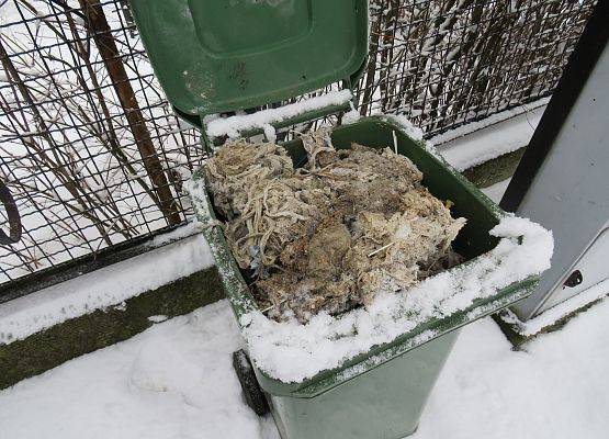 Grafika 3: APEL ZAKŁADU „WOD-KAN” SP. Z O.O. W MŁAWIE DO UŻYTKOWNIKÓW MIEJSKIEJ KANALIZACJI SANITARNEJ.