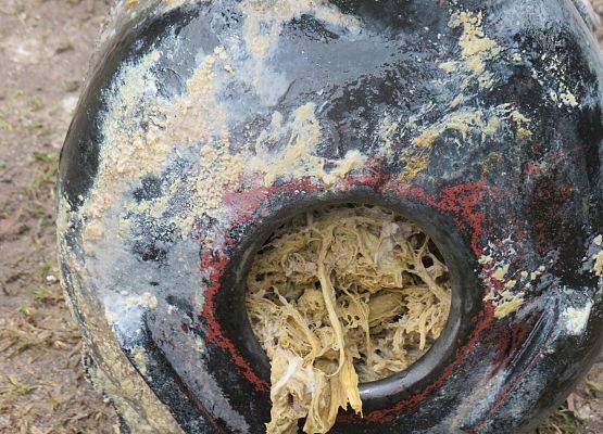 Grafika 1: APEL ZAKŁADU „WOD-KAN” SP. Z O.O. W MŁAWIE DO UŻYTKOWNIKÓW MIEJSKIEJ KANALIZACJI SANITARNEJ.