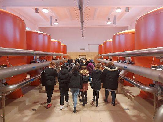 Grafika 6: Dni otwarte na Stacji Uzdatniania Wody.